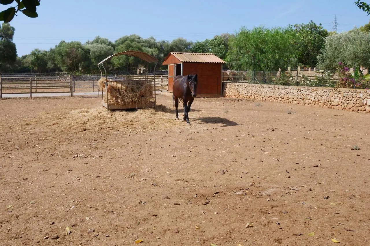 Finca Tort Cala Murada  Cala Murada (Mallorca)