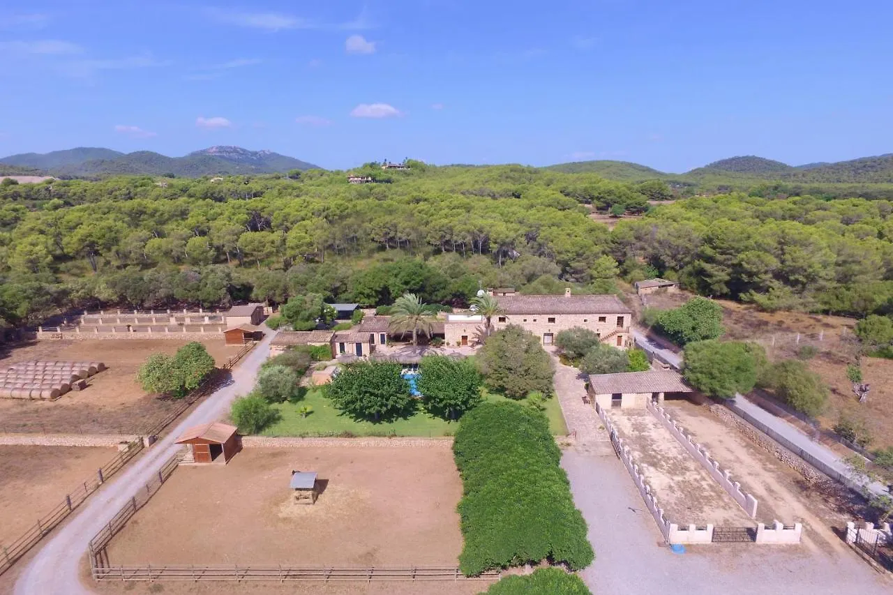 Finca Tort Cala Murada  Holiday home